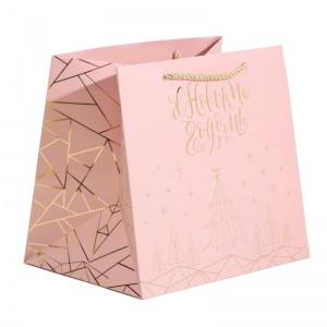 Пакет ламинированный "Сапфир" 25-23*18