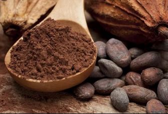 Какао-порошок натуральный Panamir жирность 10-12%, кг